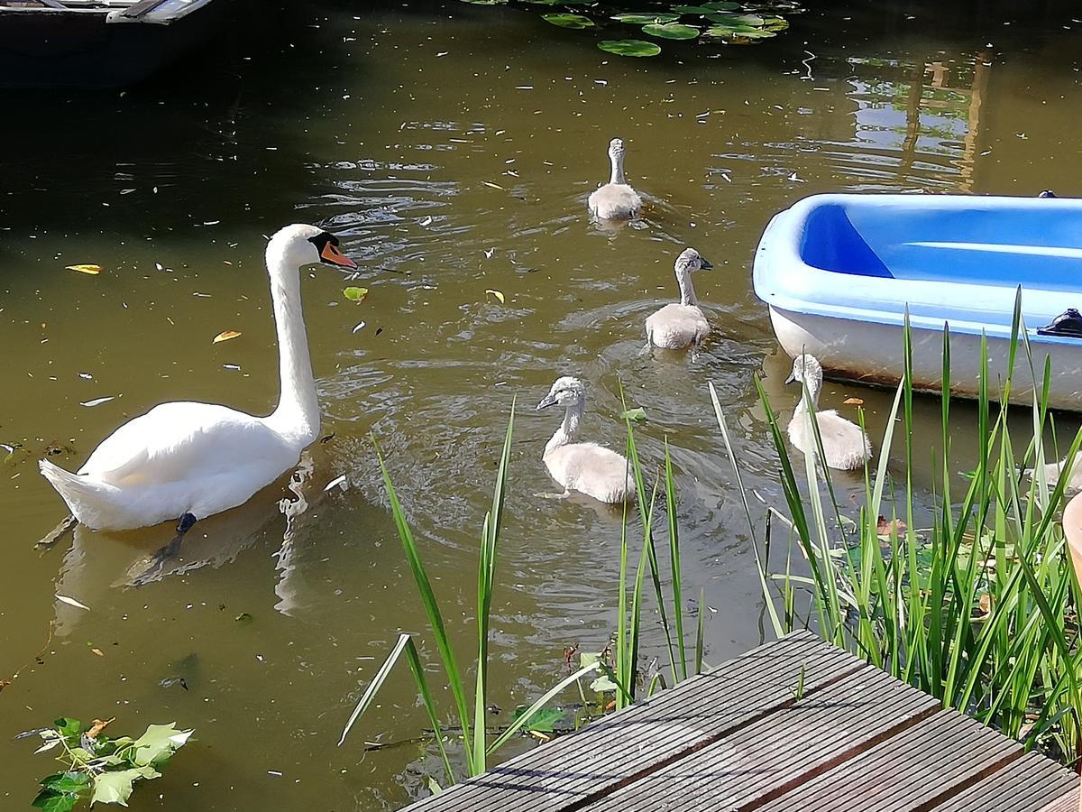 Apartamento Canal Garden Staywell *